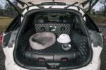 Nissan X-Trail 4Dogs Concept 2017 года